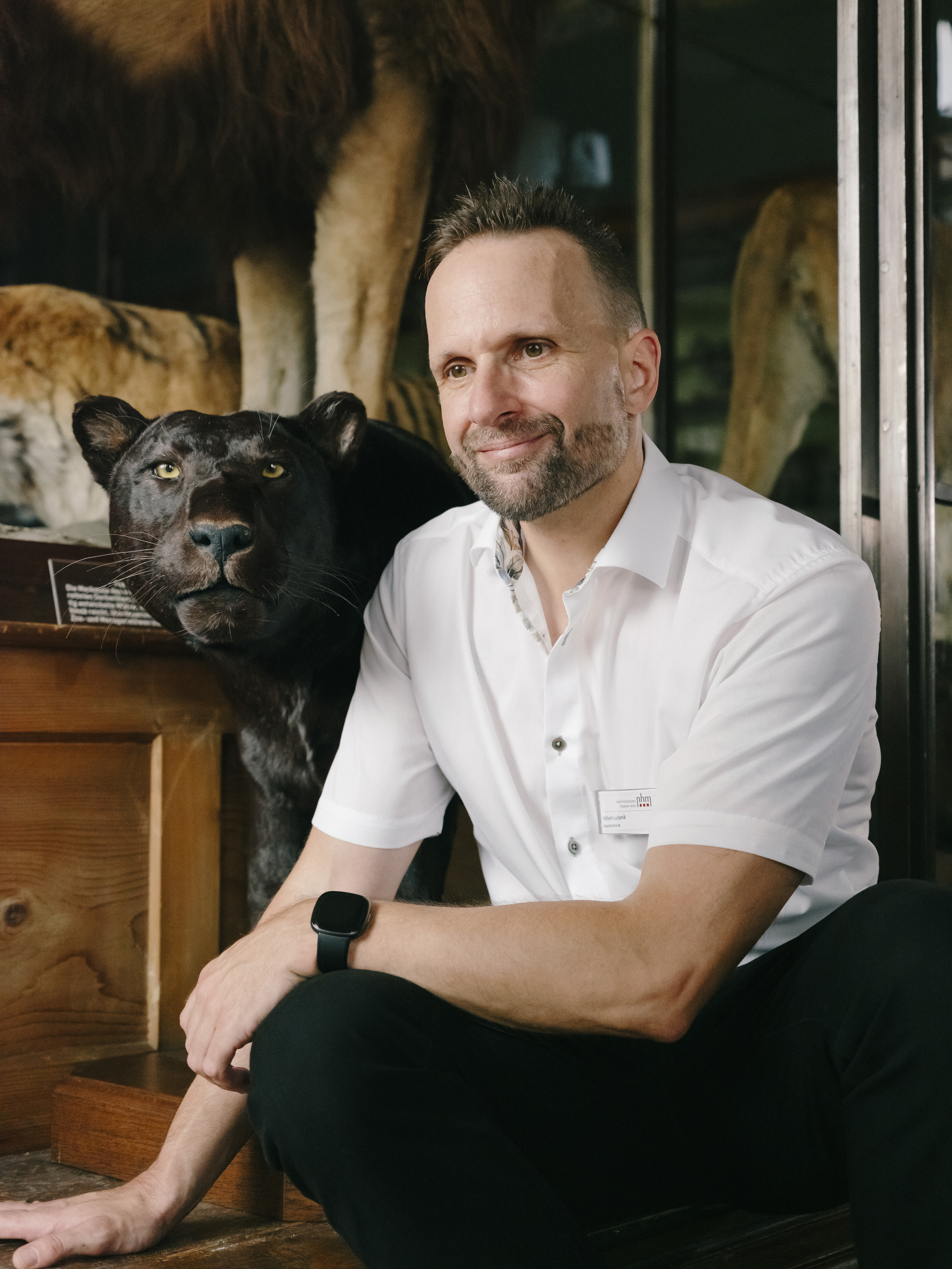 Museum of Natural History Vienna: employee Wilhelm Lubenik next to a stuffed jaguar