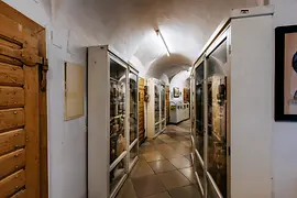 Colección de Anatomía Patológica en la Torre de los Locos