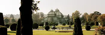Seră de palmieri în parcul Palatului Schönbrunn 