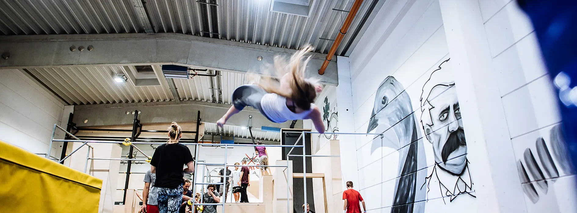 Coole Sprünge in der Ape Academy 