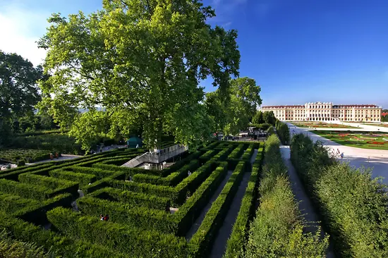 Irrgarten mit Schloss Schönbrunn im Hintergrund
