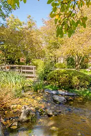 Jardín japonés en el distrito 19 