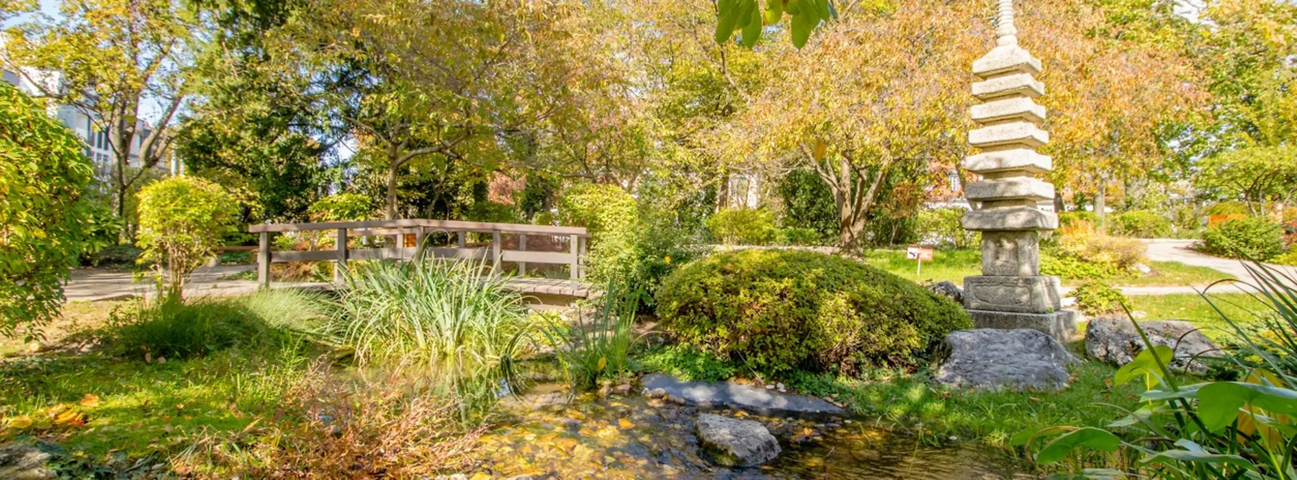 Japanese Garden in the 19th district