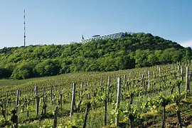 Vue du Kahlenberg