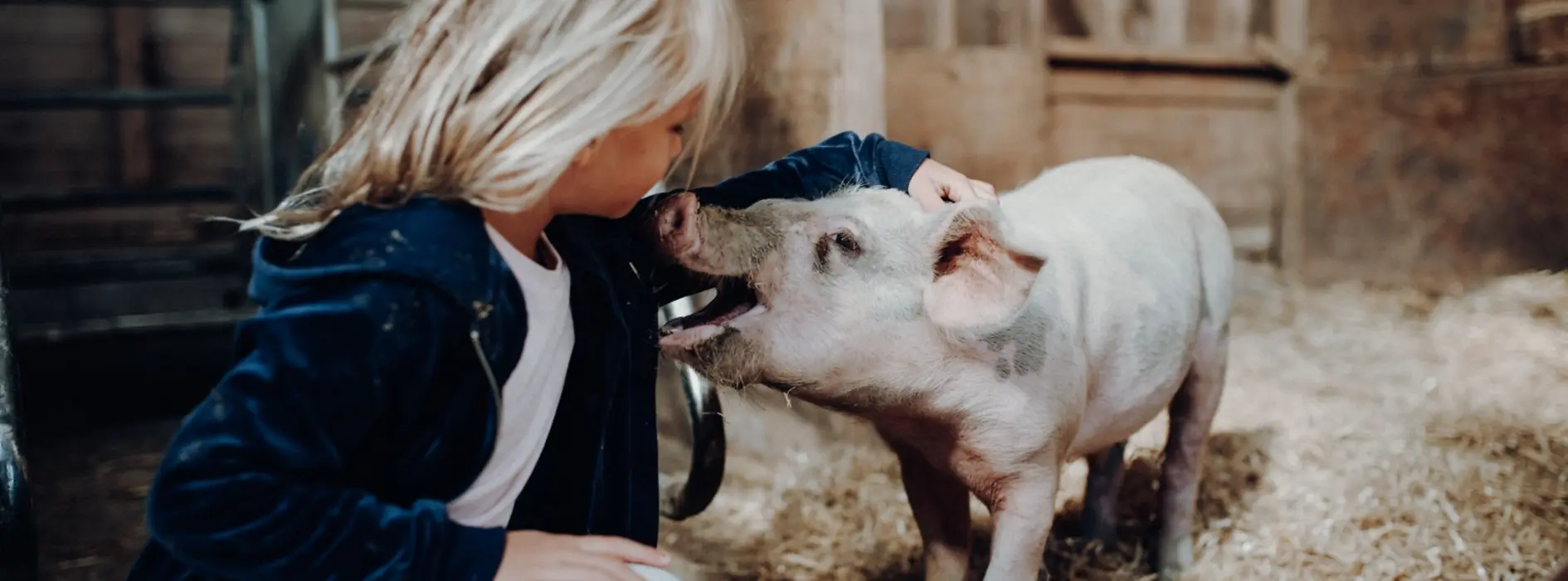 Ferme pour les enfants, Landgut Wien Cobenzl