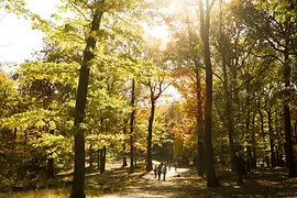 Lainzer Tiergarten