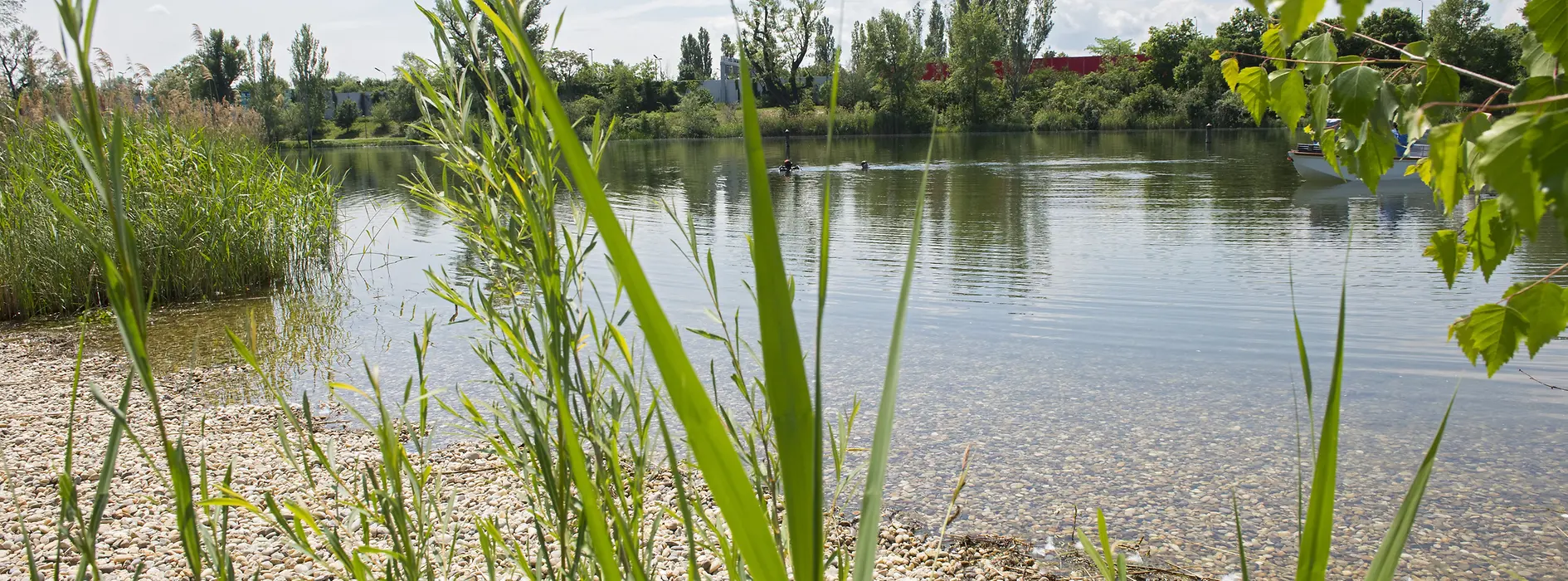 Sponda ghiaiosa di Strombucht 