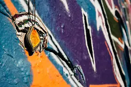 Birdly – chain made from layers of graffiti paint
