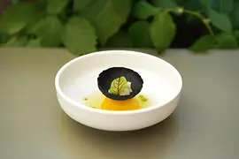 Teller mit einem vegetarischen Gericht