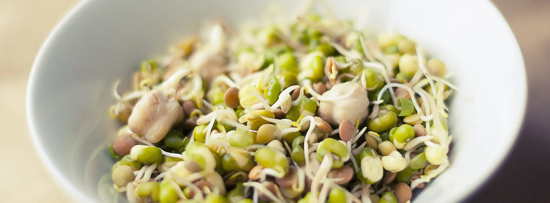 Soybean seedlings