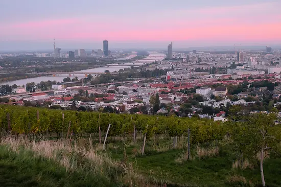 Vista di Vienna dai vigneti, tramonto sullo sfondo