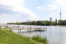 Passerella nell'acqua del Danubio