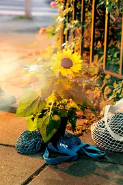 Pot de fleurs devant une clôture