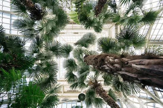 Palmenhaus Schönbrunn